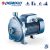 Pedrollo CP 132 | 400V 22m 120l 0,55kW | Felszíni centrifugális szivattyú